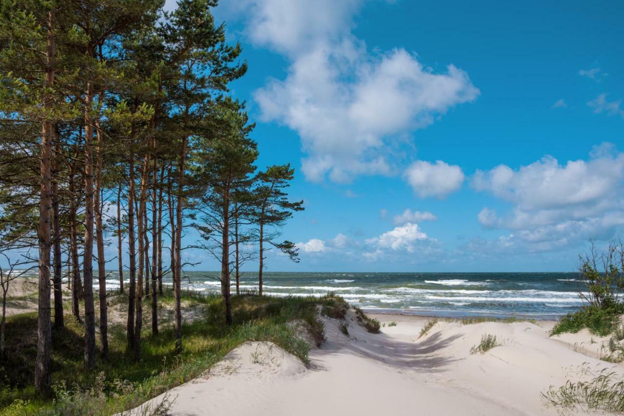 Forest Palanga Resort المظهر الخارجي الصورة
